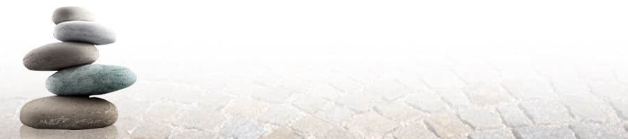 �����̐����I�炪��������{�̐�i�ό��X�|�b�g